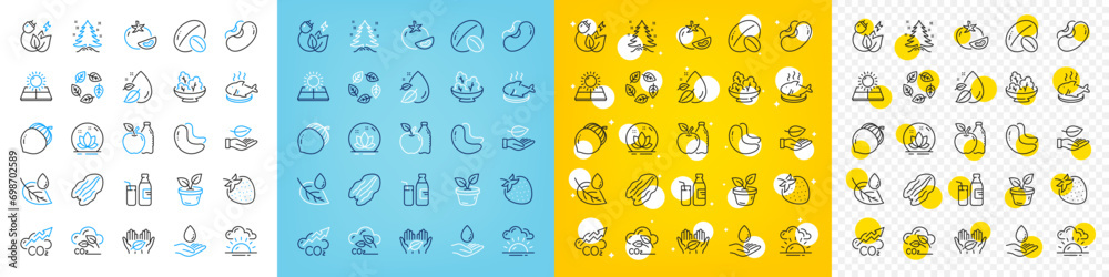 Vector icons set of Tomato, Acorn and Green energy line icons pack for web with Christmas tree, Cashew nut, Fish dish outline icon. Co2 gas, Pecan nut, Leaf dew pictogram. Lotus. Vector