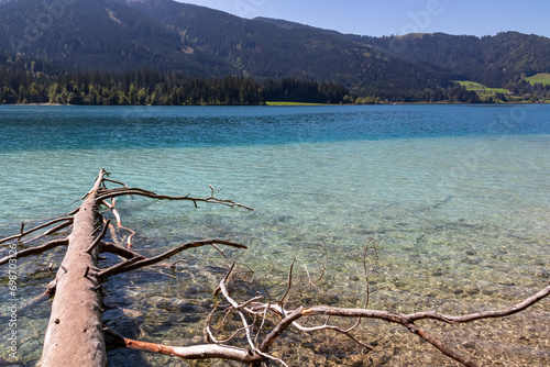 Broken tree branch hanging over water of alpine lake Weissensee in Carinthia, Austria. Scenic view of serene landscape in Austrian Alps. Remote untouched nature in summer. Pristine turquoise water photo