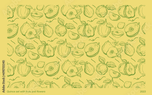 Isolated vector pattern of quince, fruit, twigs with leaves on a white and yellow background. Lemon color. Vintage vector template design. Hand drawn set of fruits illustrations. Exotic fruits.