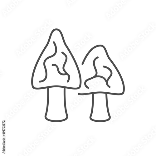 Morel mushroom line outline icon