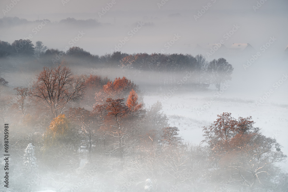 Obraz na płótnie Foggy winter morning in Gliwice, Poland.  Trees in the mist. w salonie