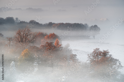 Foggy winter morning in Gliwice, Poland.  Trees in the mist.