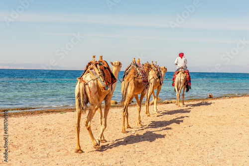 Camel caravan for tourists. A camelback Bedouin safari ride in Dahab. Egypt. © Paopano