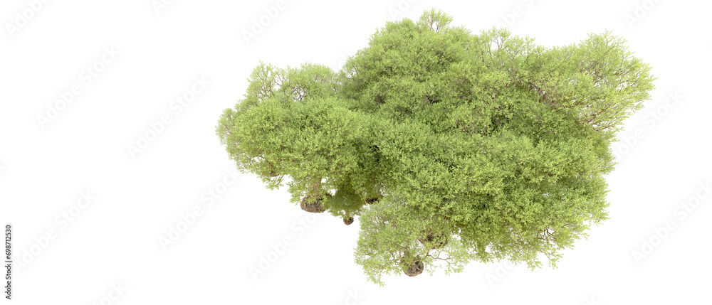 Green forest isolated on background. 3d rendering - illustration Green forest isolated on background. 3d rendering - illustration