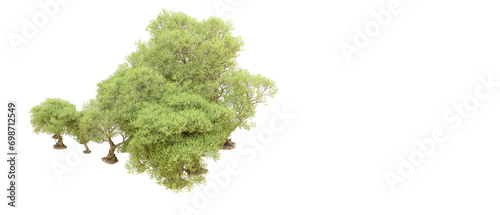 Green forest isolated on background. 3d rendering - illustration © Elena