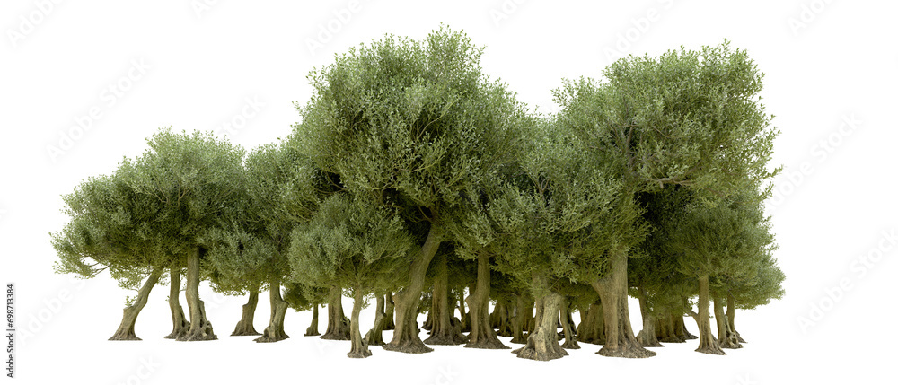 Fototapeta premium Green forest isolated on background. 3d rendering - illustration