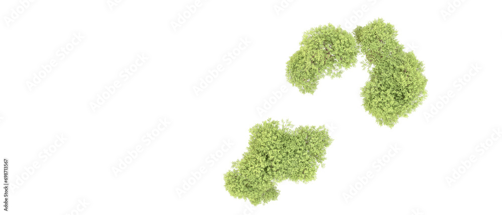 Green forest isolated on background. 3d rendering - illustration