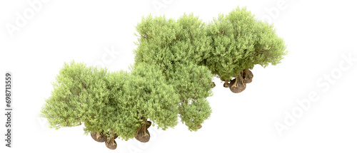 Green forest isolated on background. 3d rendering - illustration