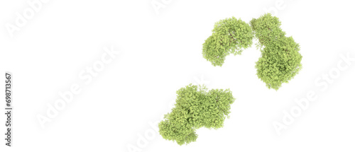 Green forest isolated on background. 3d rendering - illustration