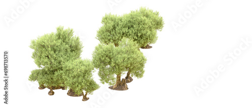Green forest isolated on background. 3d rendering - illustration