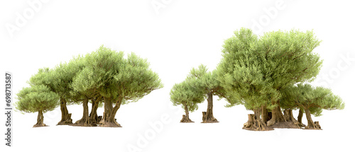 Green forest isolated on background. 3d rendering - illustration