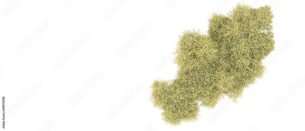 Green forest isolated on background. 3d rendering - illustration Green forest isolated on background. 3d rendering - illustration