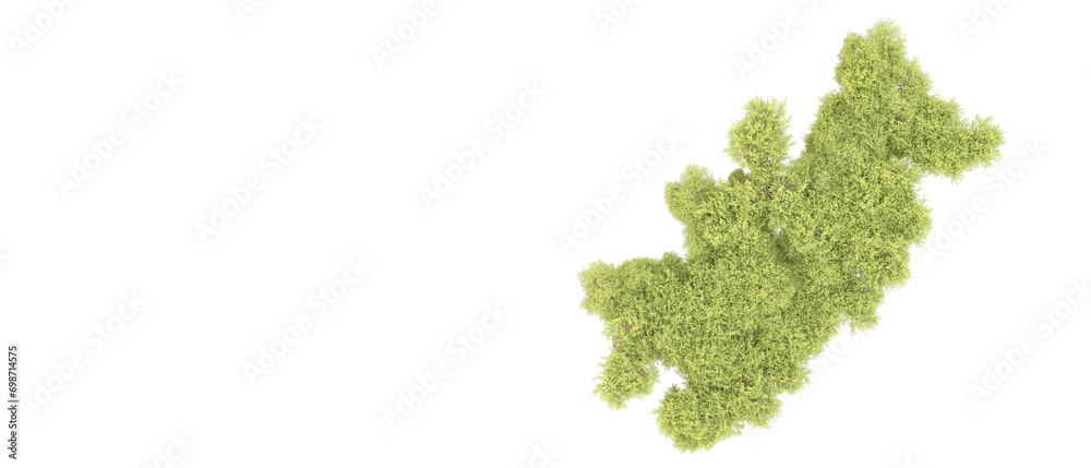 Green forest isolated on background. 3d rendering - illustration