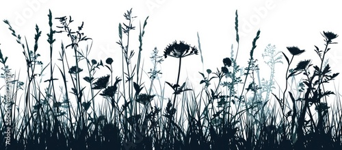 Silhouettes of grass and flowers that look real. #698725957