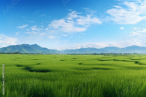 landscape with green grass and sky © Muhammad