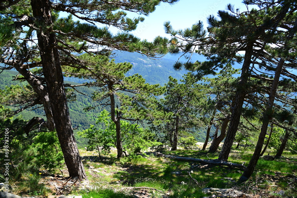 Kaz Mountains, located in Balikesir city of Turkey, is the most important mountain of the country with its rich vegetation and untouched nature.