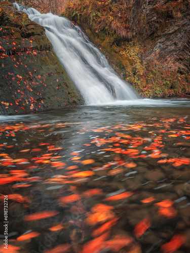view to waterfall and moving red leaves in river