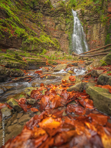 view to waterfall in canyon with autumn leaves on foreground 