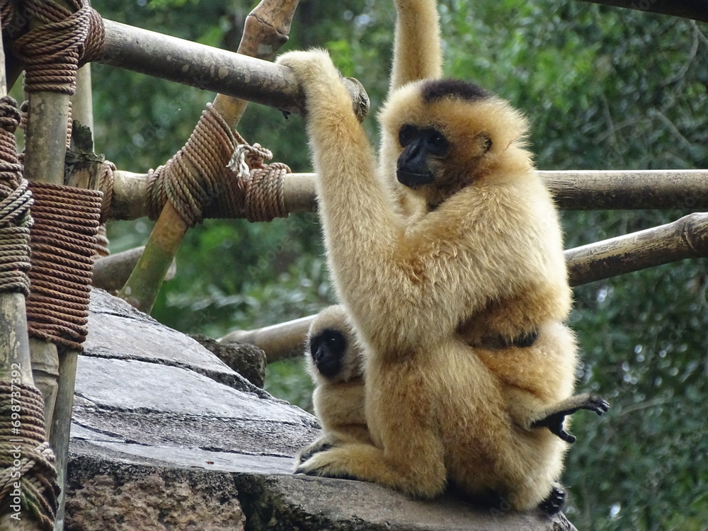 Obraz premium Family