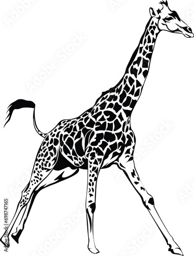 Cartoon Black and White Isolated Illustration Vector Of A Giraffe 