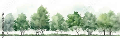 Watercolor Hackberry Tree Line on White Background AI Generated