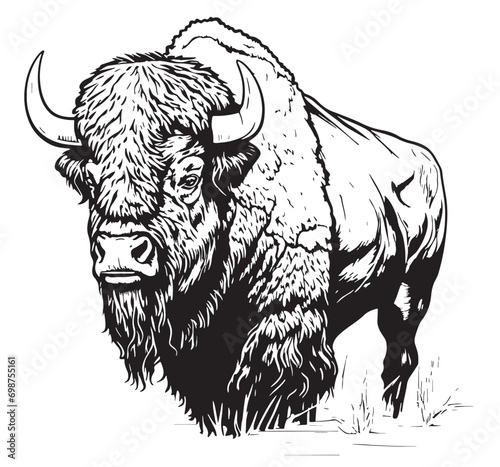 buffalo portrait logo sketch hand drawn Vector photo