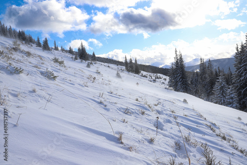 the last snow still lingers on the mountainside in spring, last year's grass is already peeking out from under the snow