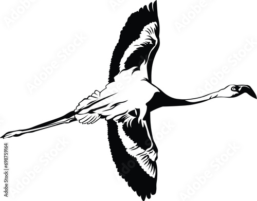 Cartoon Black and White Isolated Illustration Vector Of A Flamingo Bird Running and Flying