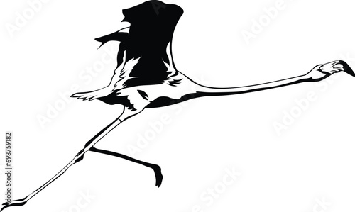 Cartoon Black and White Isolated Illustration Vector Of A Flamingo Bird Running and Flying