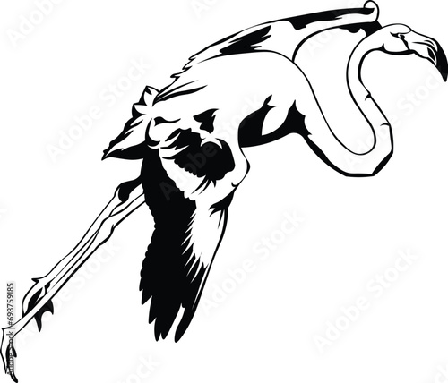 Cartoon Black and White Isolated Illustration Vector Of A Flamingo Bird Running and Flying