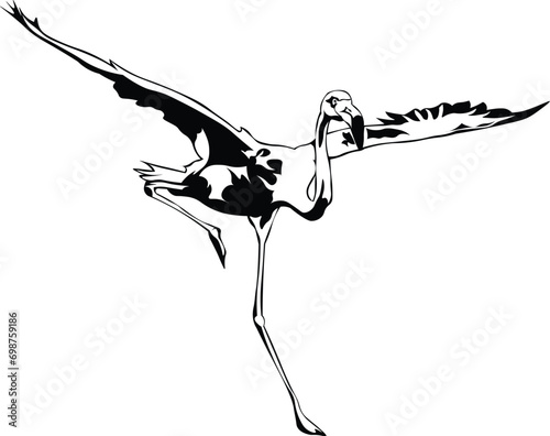 Cartoon Black and White Isolated Illustration Vector Of A Flamingo Bird Running and Flying