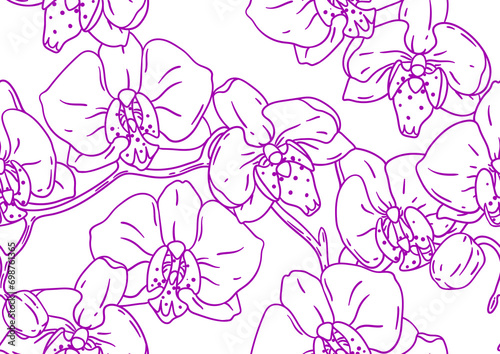 Pattern with orchid flowers. Beautiful decorative plants.