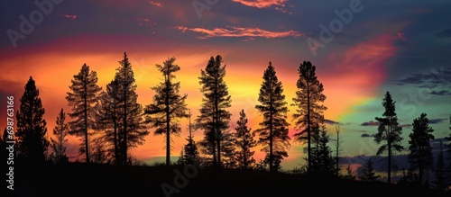 Pine tree silhouettes in a sunset rainbow.