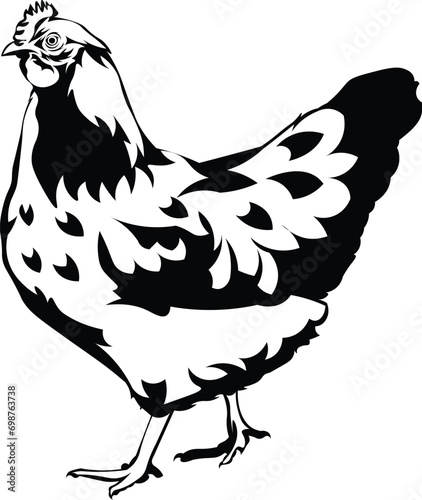 Cartoon Black and White Isolated Illustration Vector Of A Chicken Standing Up