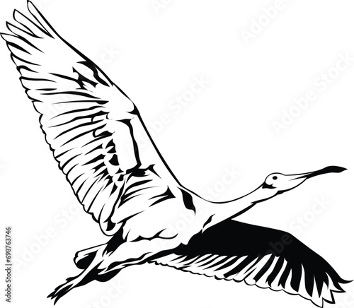 Cartoon Black and White Isolated Illustration Vector Of A Flamingo Bird Running and Flying