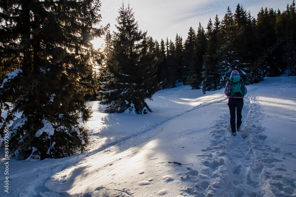 Active woman with snow shoes walking on hiking path in winter to Ladinger Spitz on Saualpe, Carinthia, Austria. Sun is shining casting warm glow on snow. Ski touring winter wonderland Austrian Alps