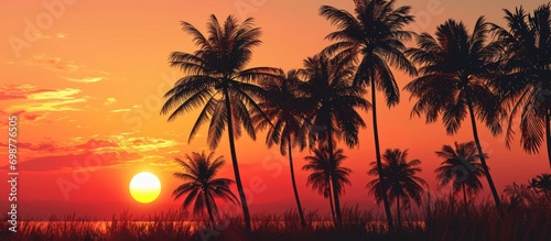 Silhouette of palm trees with a setting sun © AkuAku