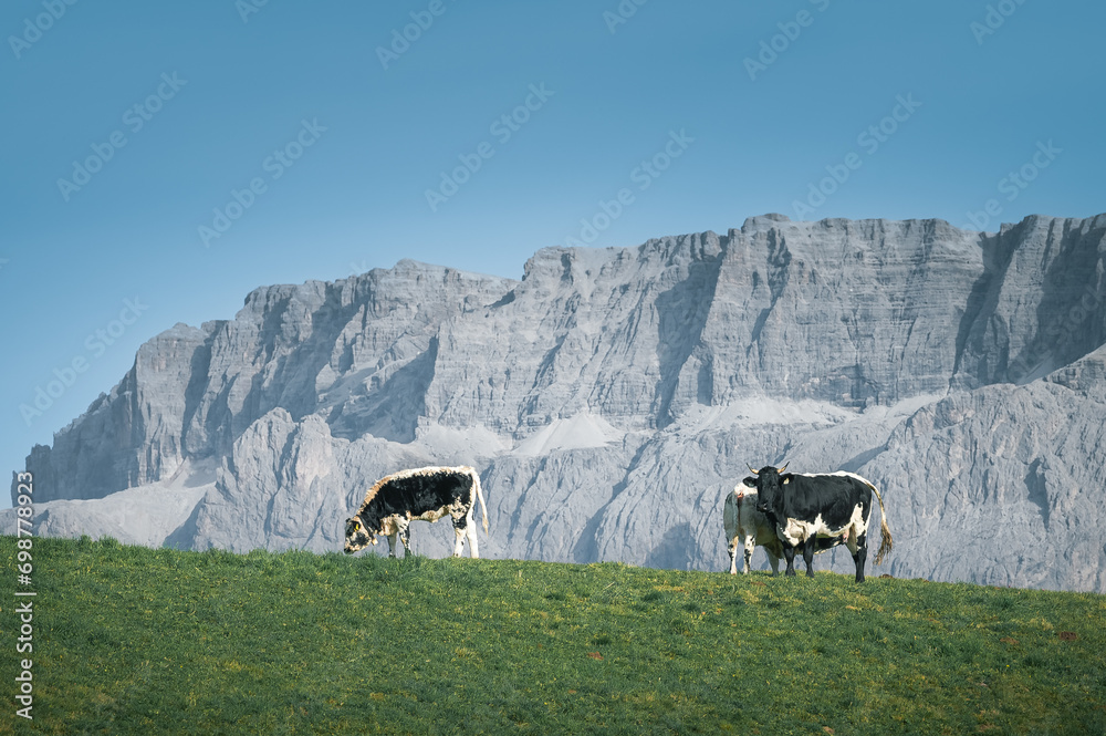 Stunning Italian Dolomites in vibrant colors. Picturesque Alpine mountain range at summer time.