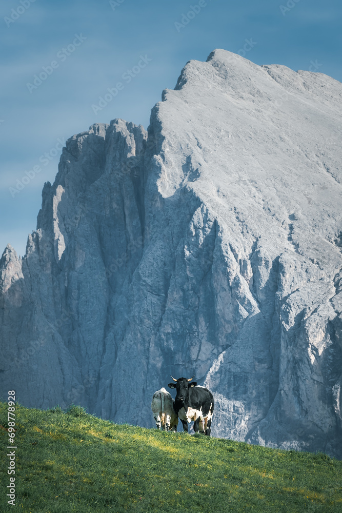 Stunning Italian Dolomites in vibrant colors. Picturesque Alpine mountain range at summer time.