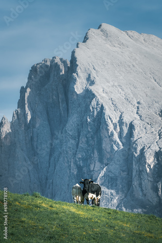 Obraz na płótnie Stunning Italian Dolomites in vibrant colors. Picturesque Alpine mountain range at summer time. w salonie