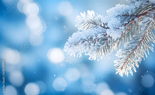 Close-up of frozen pine tree branch and snow, unfocused blurred background with blue sky and snowflakes