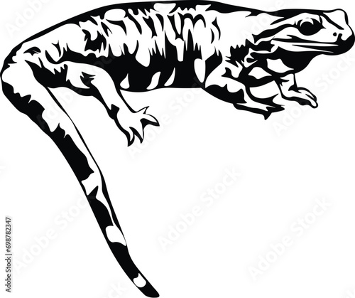Cartoon Black and White Isolated Illustration Vector Of A Salamander Lizard