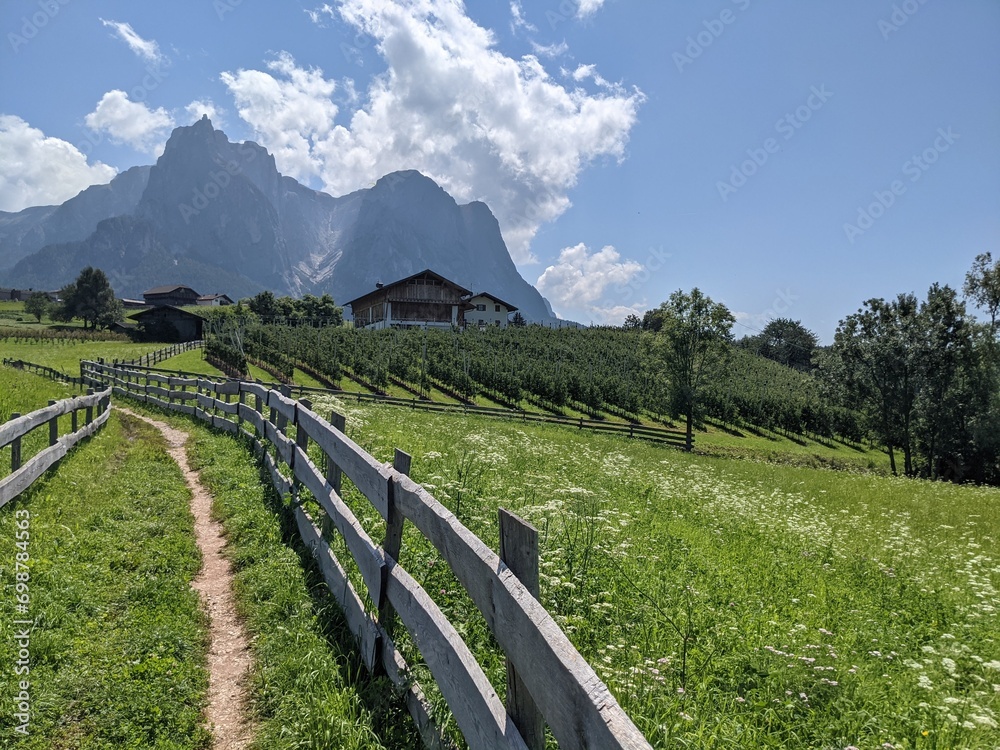 Sentiero in Trentino Alto Adige 