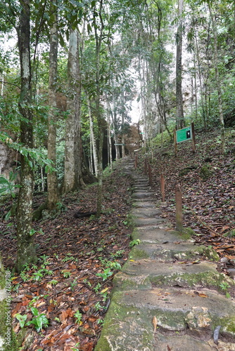 Belize - Mountain Pine Ridge Forest Reserve