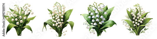 Lily of the valley flowers Hyperrealistic Highly Detailed Isolated On Transparent Background Png File