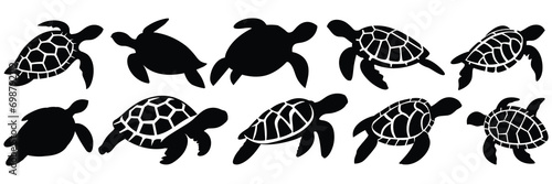 Sea turtle caretta silhouettes set, large pack of vector silhouette design, isolated white background photo