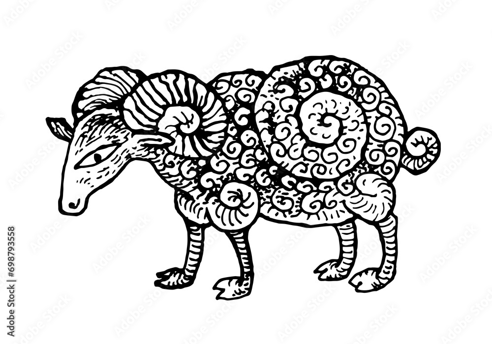 Sheep ram wild horns like a shell spiral tattoo vintage print stamp Sheep ram wild horns like a shell spiral tattoo vintage print stamp