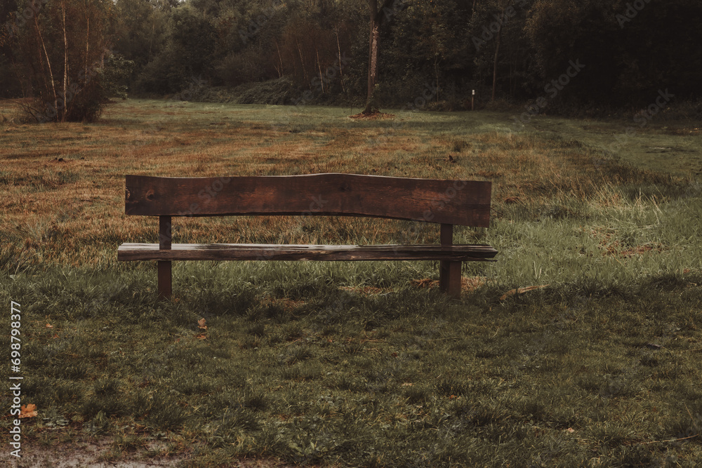 A bench in the middle of the park, a view of the forest from the bench A bench in the middle of the park, a view of the forest from the bench