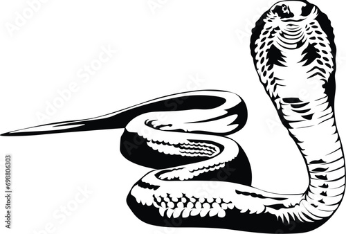 Cartoon Black and White Isolated Illustration Vector Of A Cobra Snake Showing Fangs