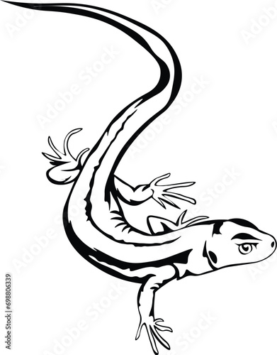 Cartoon Black and White Isolated Illustration Vector Of A Salamander Lizard